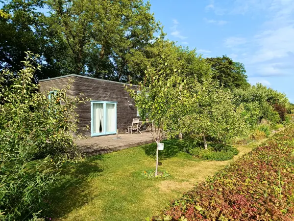 202506250-07 - Kleingärten an der Kirschallee, Potsdam, Brandenburg, Deutschland
