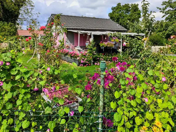 202309020-08 - Kleingarten in Spandau, Berlin, Deutschland