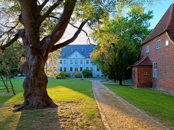 202605270-21 - Kloster Dobbertin, Mecklenburgische Seenplatte, Mecklenburg-Vorpommern, Deutschland