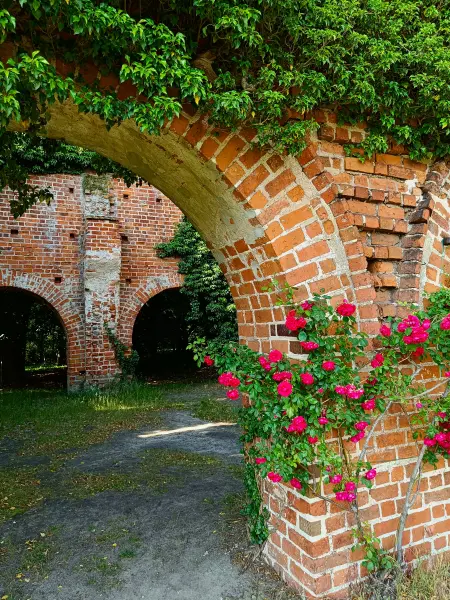 202506110-42 - Klosterruine in Himmelpfort, Ruppiner Seenland, Brandenburg, Deutschland
