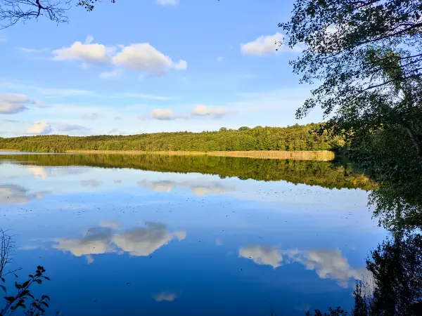 202310250-44 - Kolpinsee bei Kloster Lehnin, Fläming, Brandenburg, Deutschland
