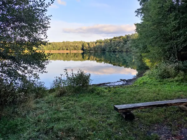 202310250-45 - Kolpinsee bei Kloster Lehnin, Fläming, Brandenburg, Deutschland