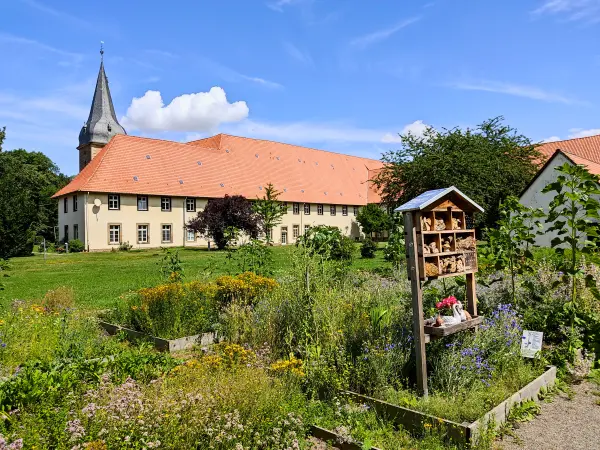 202307180-13 - Kräutergarten im Kloster Wöltingerode bei Vienenburg, Harz, Niedersachsen, Deutschland