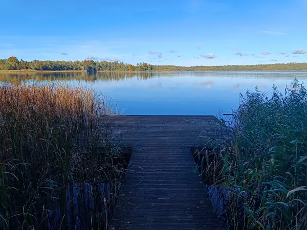 202510130-21 - Krakower See bei Krakow am See, Mecklenburgische Seenplatte, Mecklenburg-Vorpommern, Deutschland