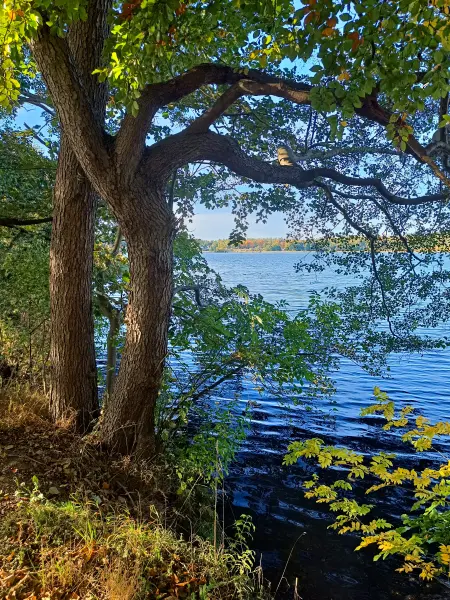 202510130-30 - Krakower See bei Krakow am See, Mecklenburgische Seenplatte, Mecklenburg-Vorpommern, Deutschland