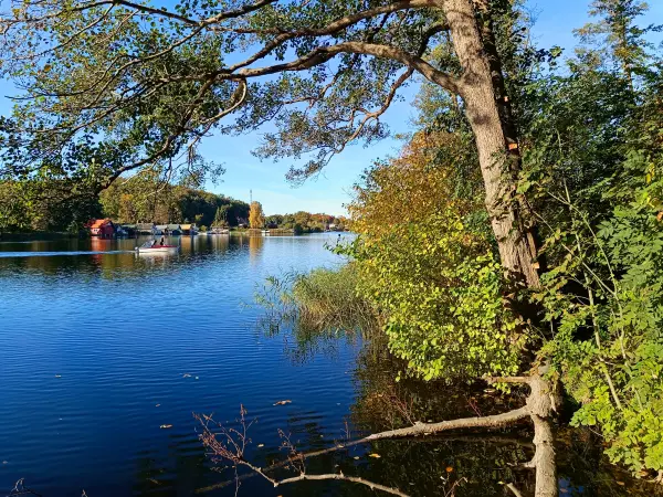 202510130-31 - Krakower See bei Krakow am See, Mecklenburgische Seenplatte, Mecklenburg-Vorpommern, Deutschland