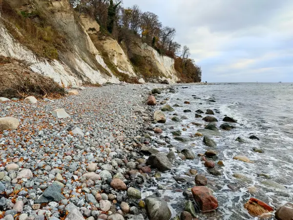 202311070-08 - Kreideküste bei Sassnitz, Rügen, Mecklenburg-Vorpommern, Deutschland