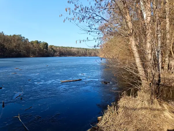 202603070-41 - Krumme Lanke, Berlin, Deutschland