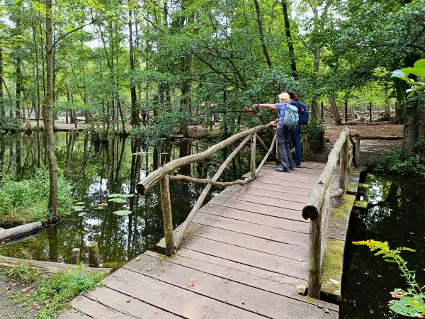 202508300-32 - Kuhlake im Spandauer Forst, Berlin, Deutschland