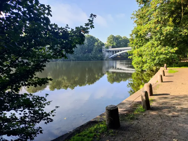 202308200-13 - Kuhmühlenteich in Uhlenhorst, Hamburg, Deutschland