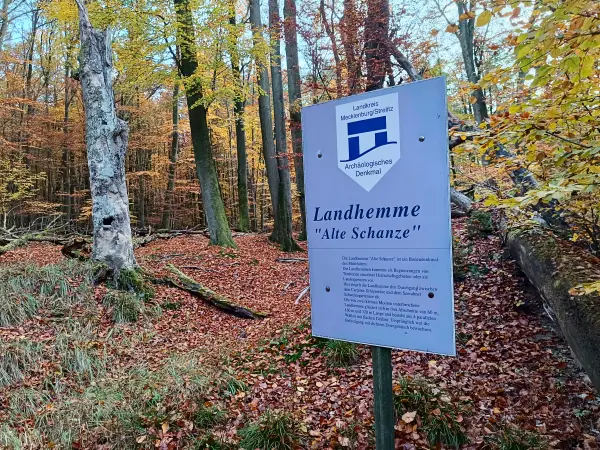 202511040-16 - Landhemme im Müritz-Nationalpark bei Carpin, Mecklenburgische Seenplatte, Mecklenburg-Vorpommern, Deutschland