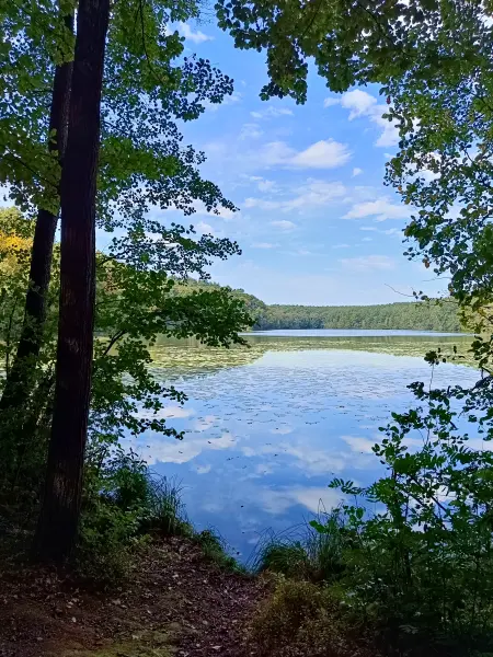 202509210-13 - Langesee im Schlaubetal, Seenland Oder-Spree, Brandenburg, Deutschland