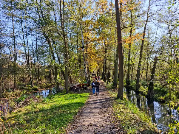 202311040-18 - Leiper Weg und Leiper Weggraben bei Lehde, Spreewald, Brandenburg, Deutschland
