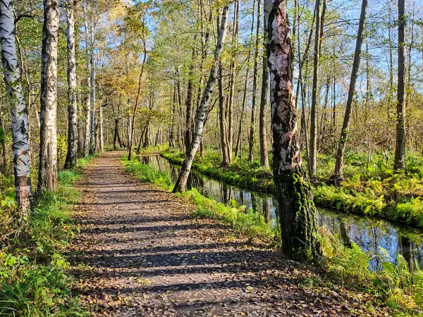202311040-21 - Leiper Weg und Leiper Weggraben bei Lehde, Spreewald, Brandenburg, Deutschland