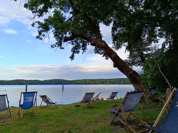 202507300-26 - Liegestühle am Templiner See, Potsdam, Brandenburg, Deutschland