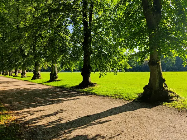 202308221-10 - Liegewiese im Altonaer Volkspark in Altona, Hamburg, Deutschland