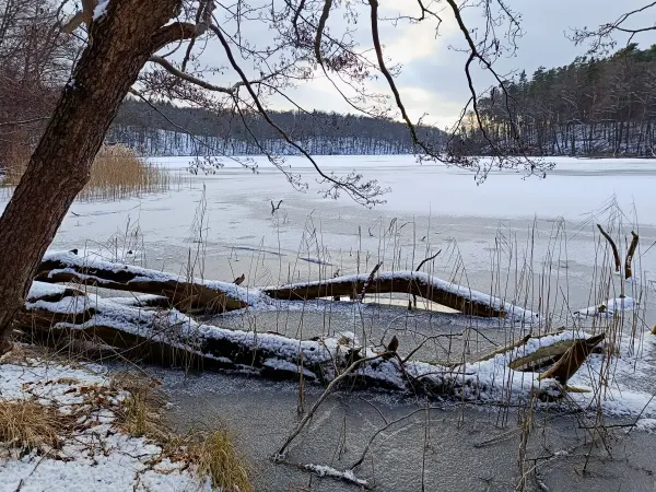 202502150-31 - Liepnitzsee, Barnimer Land, Brandenburg, Deutschland