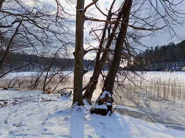 202502150-32 - Liepnitzsee, Barnimer Land, Brandenburg, Deutschland