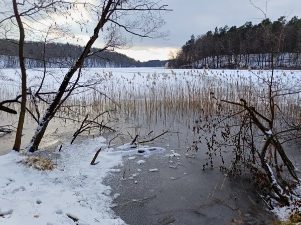 202502150-33 - Liepnitzsee, Barnimer Land, Brandenburg, Deutschland