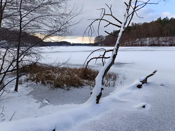 202502150-34 - Liepnitzsee, Barnimer Land, Brandenburg, Deutschland