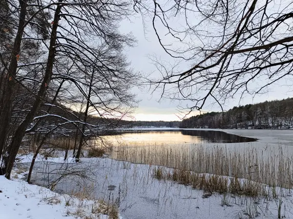 202502150-36 - Liepnitzsee, Barnimer Land, Brandenburg, Deutschland