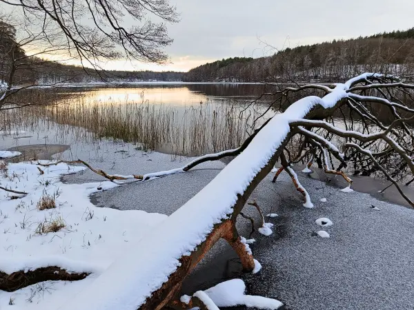 202502150-37 - Liepnitzsee, Barnimer Land, Brandenburg, Deutschland