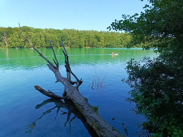 202608150-13 - Liepnitzsee bei Wandlitz, Barnimer Land, Brandenburg, Deutschland