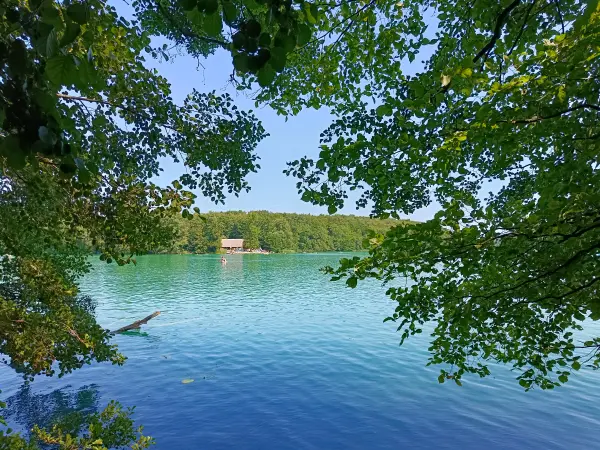 202608150-14 - Liepnitzsee bei Wandlitz, Barnimer Land, Brandenburg, Deutschland