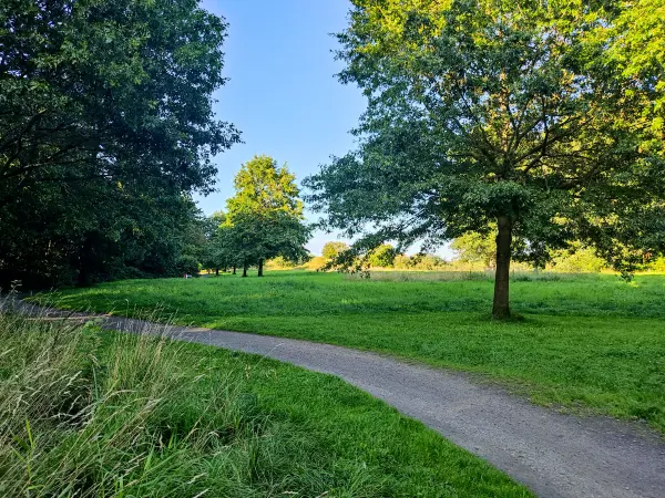 202308221-18 - Lise-Meitner-Park in Groß Flottbek, Hamburg, Deutschland