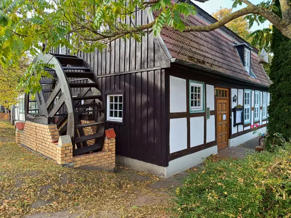 202510210-45 - Lohmühle in Neubrandenburg, Mecklenburgische Seenplatte, Mecklenburg-Vorpommern, Deutschland