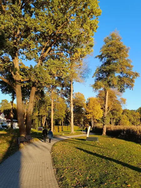 202610190-31 - Ludwig-Lesser-Promenade in Bad Saarow, Seenland Oder-Spree, Brandenburg, Deutschland
