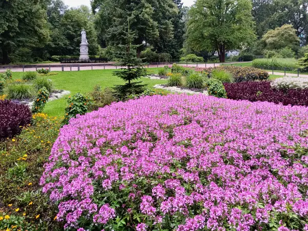 202507230-18 - Luiseninsel im Tiergarten, Berlin, Deutschland