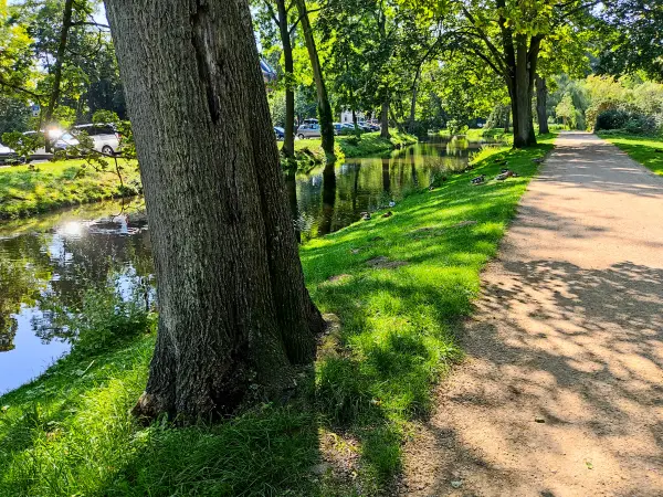 202308181-07 - Magnusgraben am Französischen Garten in Celle, Lüneburger Heide, Niedersachsen, Deutschland