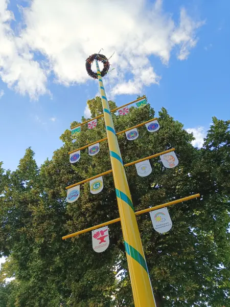 202607280-15 - Maibaum in Großziethen, Fläming, Brandenburg, Deutschland