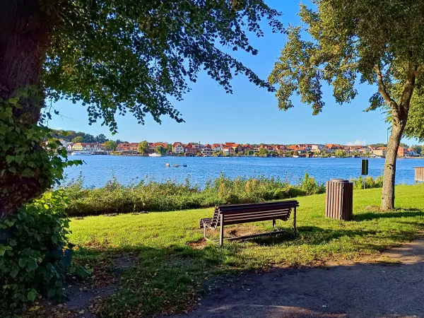 202509120-45 - Malchower See an der Inselstadt Malchow, Mecklenburgische Seenplatte, Mecklenburg-Vorpommern, Deutschland