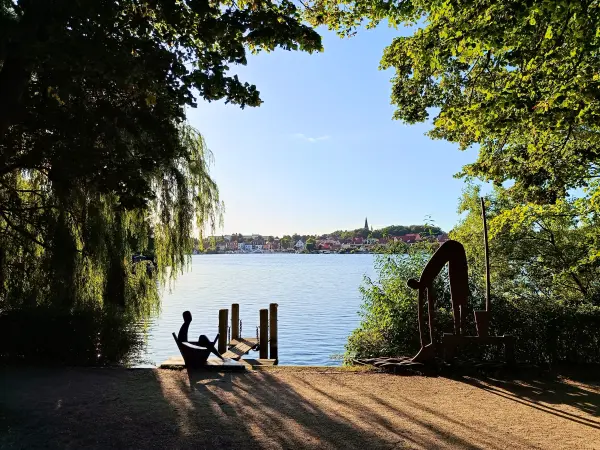 202509120-49 - Malchower See an der Inselstadt Malchow, Mecklenburgische Seenplatte, Mecklenburg-Vorpommern, Deutschland