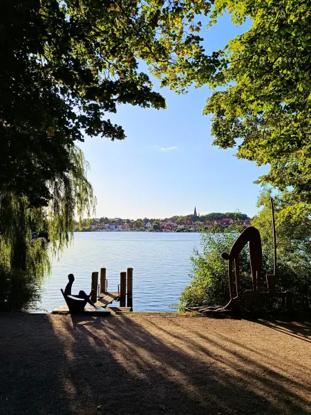 202509120-50 - Malchower See an der Inselstadt Malchow, Mecklenburgische Seenplatte, Mecklenburg-Vorpommern, Deutschland