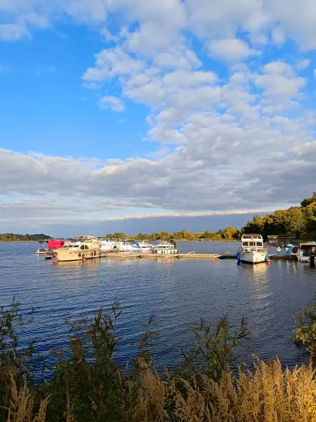 202509300-28 - Malchower See bei der Inselstadt Malchow, Mecklenburgische Seenplatte, Mecklenburg-Vorpommern, Deutschland