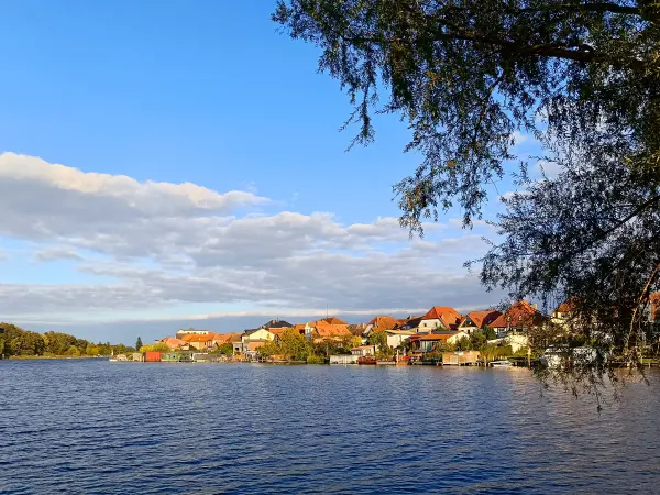 202509300-31 - Malchower See bei der Inselstadt Malchow, Mecklenburgische Seenplatte, Mecklenburg-Vorpommern, Deutschland