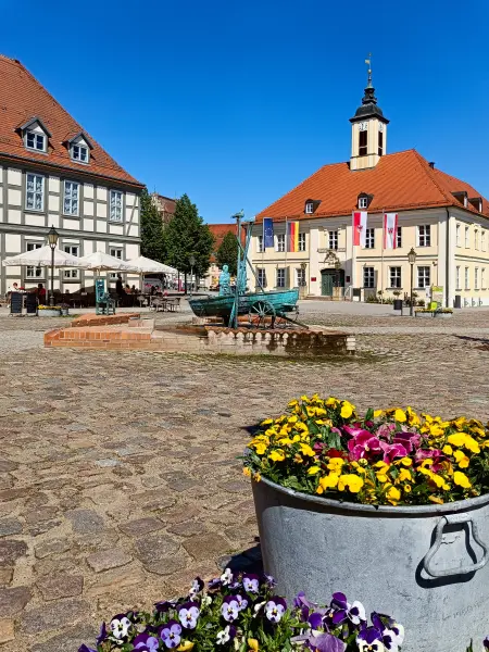 202605090-07 - Markt mit Rathaus in Angermünde, Uckermark, Brandenburg, Deutschland