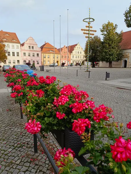 202610140-37 - Marktplatz in Luckau, Brandenburg, Deutschland