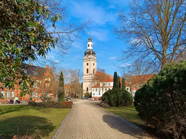 202603120-20 - Marktplatz und St. Trinitatis in Genthin, Elbe-Börde-Heide, Sachsen-Anhalt, Deutschland