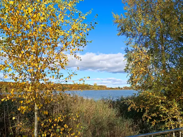 202510180-20 - Melzer See bei Waren, Mecklenburgische Seenplatte, Mecklenburg-Vorpommern, Deutschland