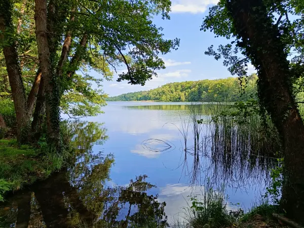 202506110-12 - Moderfitzsee bei Himmelpfort, Ruppiner Seenland, Brandenburg, Deutschland