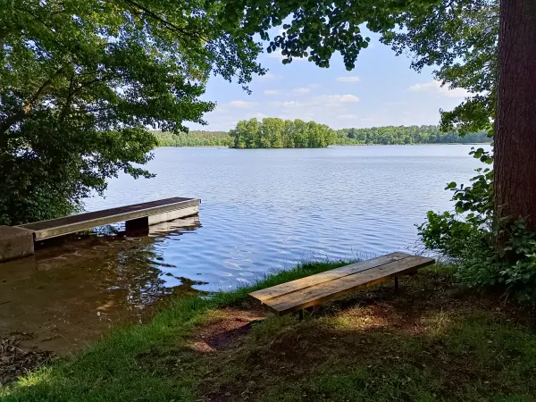 202506110-14 - Moderfitzsee bei Himmelpfort, Ruppiner Seenland, Brandenburg, Deutschland