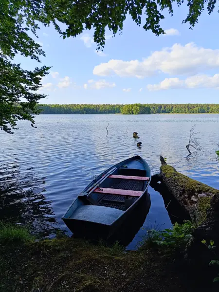 202506110-53 - Moderfitzsee bei Himmelpfort, Ruppiner Seenland, Brandenburg, Deutschland