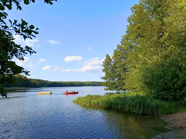 202506110-54 - Moderfitzsee bei Himmelpfort, Ruppiner Seenland, Brandenburg, Deutschland