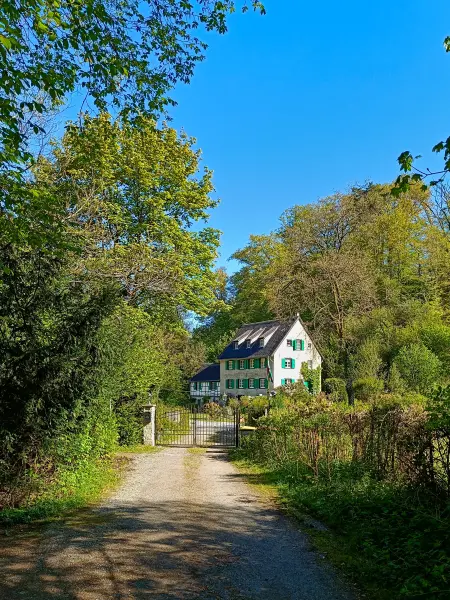 202604230-12 - Mühle im Düsseltal, Bergisches Land, Nordrhein-Westfalen, Deutschland