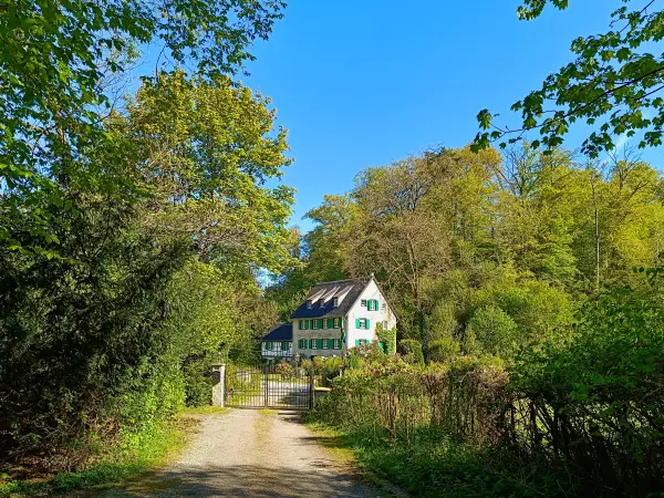 202604230-13 - Mühle im Düsseltal, Bergisches Land, Nordrhein-Westfalen, Deutschland