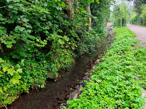 202308180-06 - Mühlenbetriebsgraben in Wennigsen, Weserbergland, Niedersachsen, Deutschland